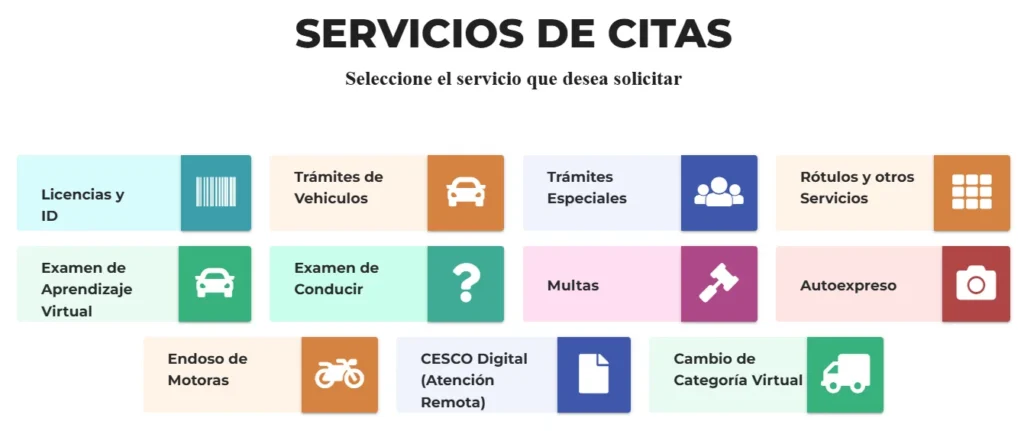 servicio de citas cesco